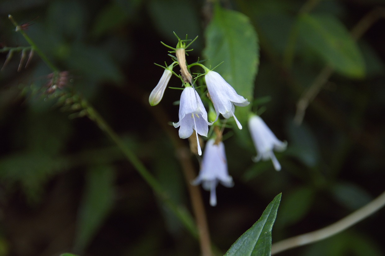 b0174905_7524820.jpg