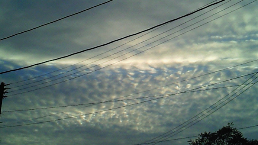 d0149105_16155459.jpg