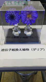 e0123206_16482562.jpg