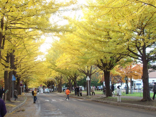 b0198109_16564730.jpg