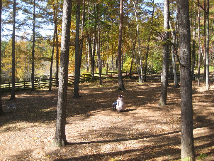 f0179209_1154490.jpg