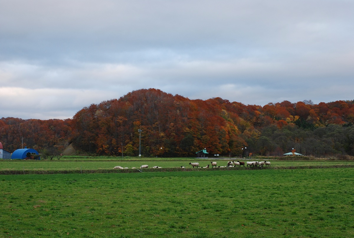 a0146011_1235464.jpg