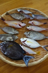 f0142821_10165273.jpg