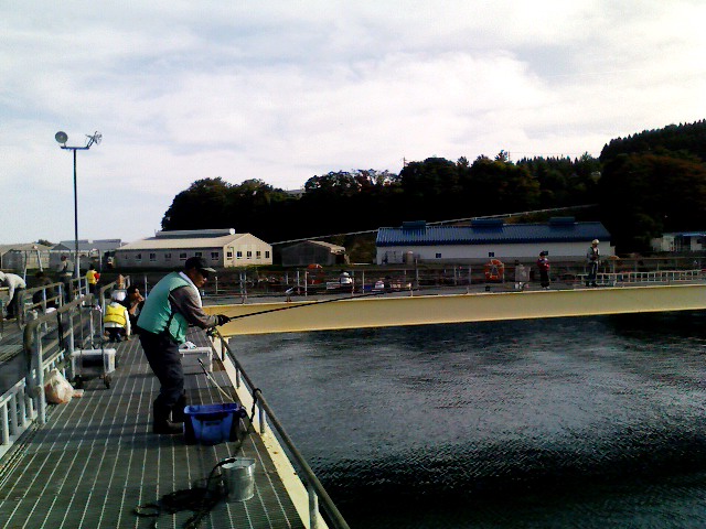 a0134323_13311638.jpg