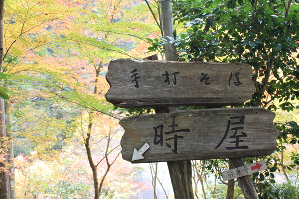 a0139631_19461236.jpg