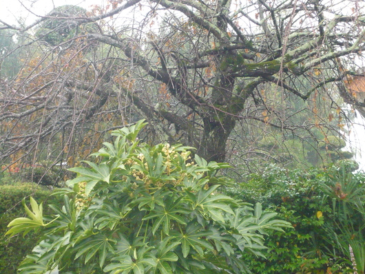 a0206332_9165754.jpg