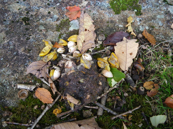 f0118332_1927087.jpg
