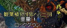c0184233_112854.jpg