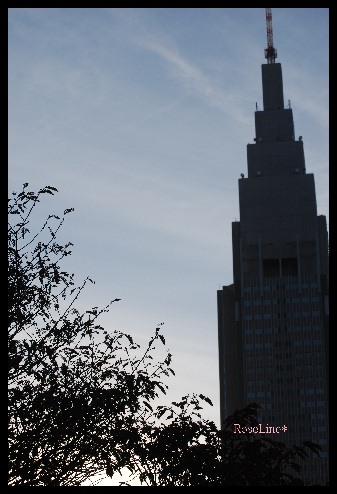 f0238135_103778.jpg