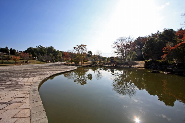 a0242438_19385643.jpg