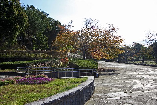 a0242438_1939377.jpg