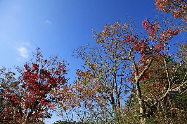 a0242438_19405771.jpg
