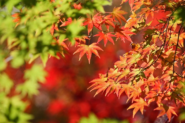 a0242438_19415158.jpg
