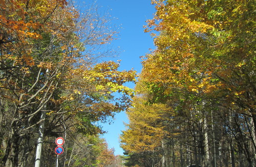 b0178339_011428.jpg