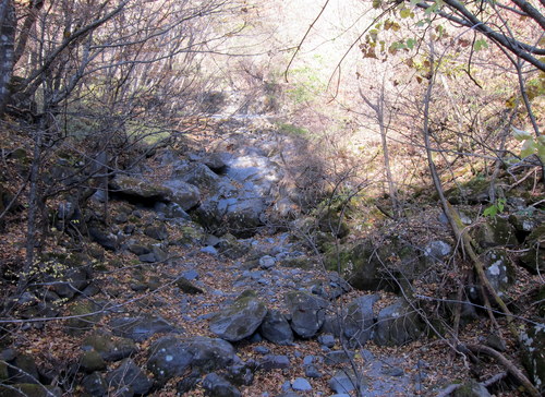 b0178339_14182830.jpg