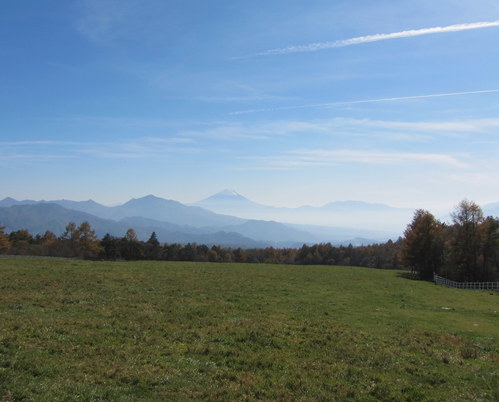 b0178339_1433525.jpg