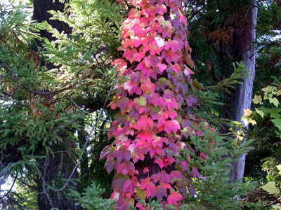 b0019140_15145632.jpg