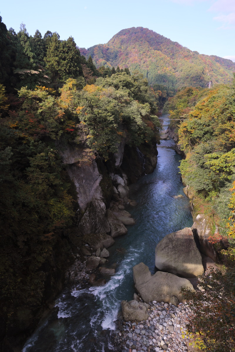 d0135242_2318897.jpg