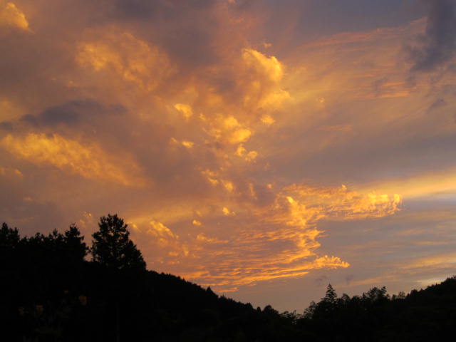 b0132746_21364543.jpg