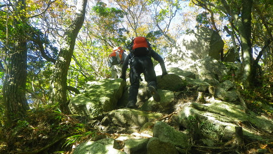 c0042847_1341291.jpg