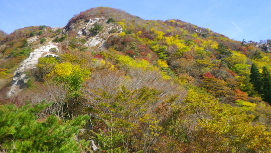 c0042847_13424087.jpg