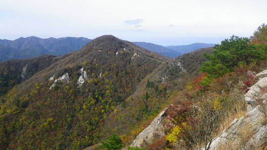 c0042847_13435624.jpg