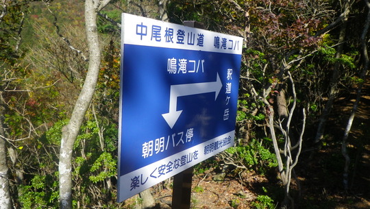 c0042847_1346655.jpg