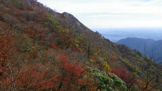 c0042847_1351147.jpg