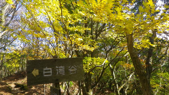 c0042847_13532751.jpg