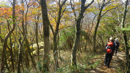 c0042847_135556.jpg