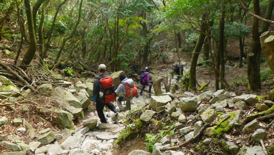 c0042847_13585077.jpg