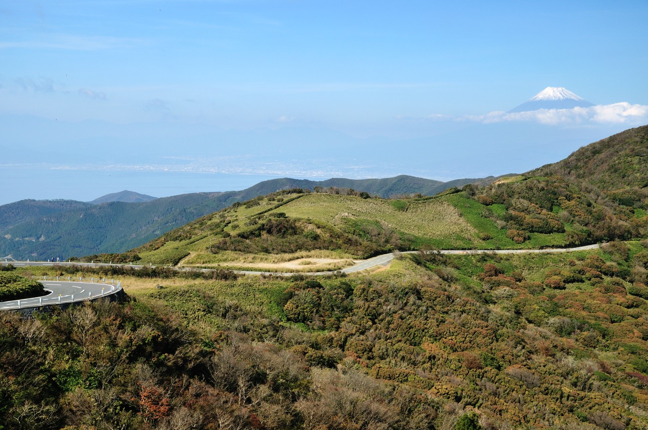 e0131355_14592299.jpg