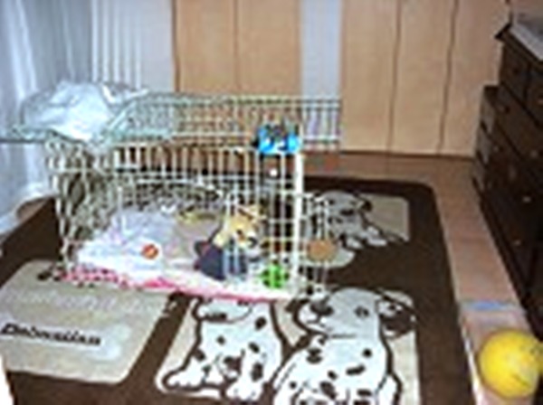 a0157156_1058882.jpg