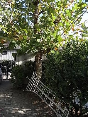 f0168256_15182043.jpg