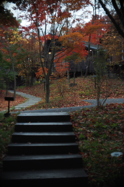 f0214858_2005174.jpg