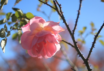 f0232758_1931879.jpg