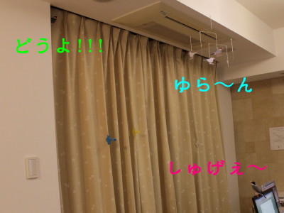 b0158061_21334435.jpg