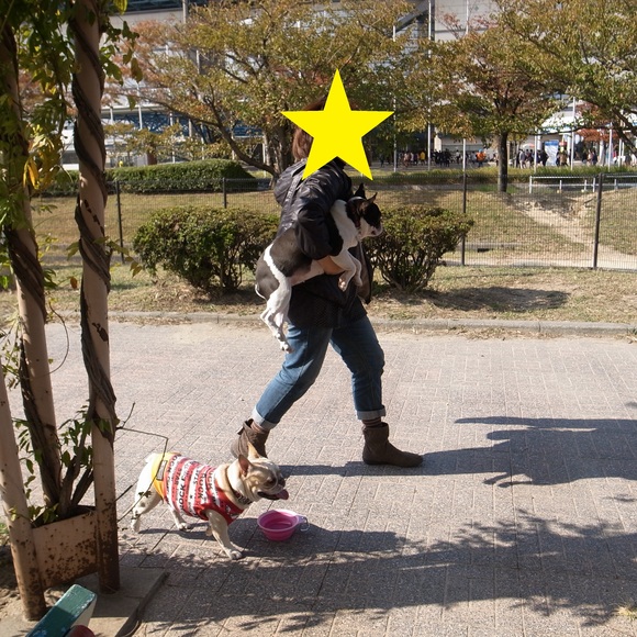 c0081363_7583121.jpg