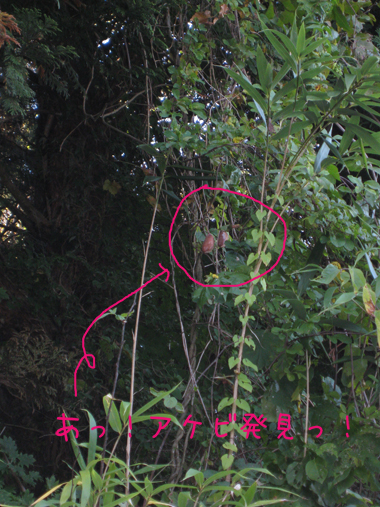 d0050871_152055100.jpg