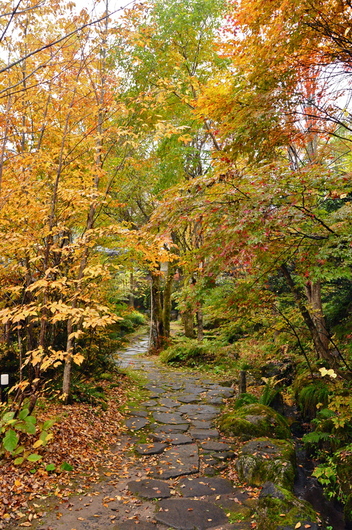 f0029271_11404318.jpg