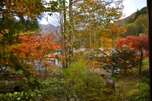 f0029271_126977.jpg