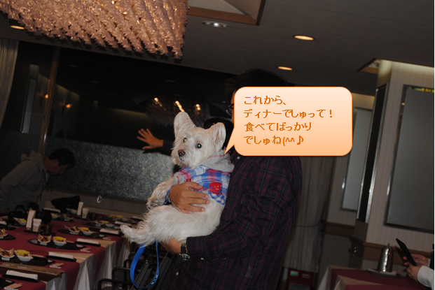 b0242873_2137642.png