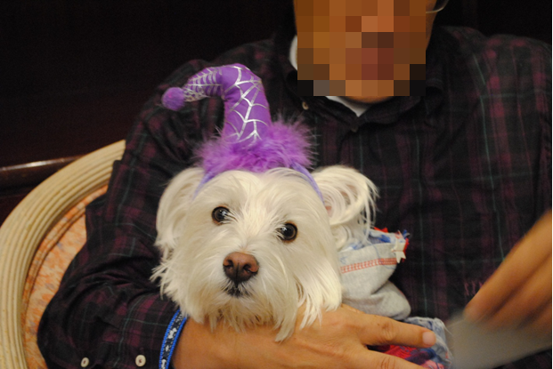 b0242873_22172156.png