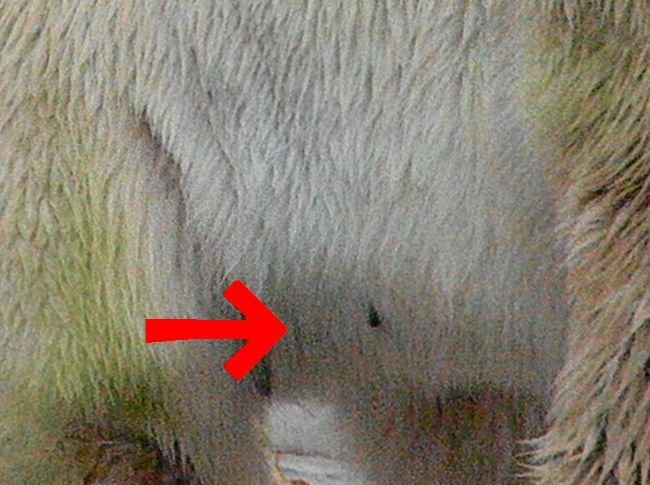 b0014576_5353858.jpg