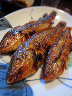 f0056476_432969.jpg