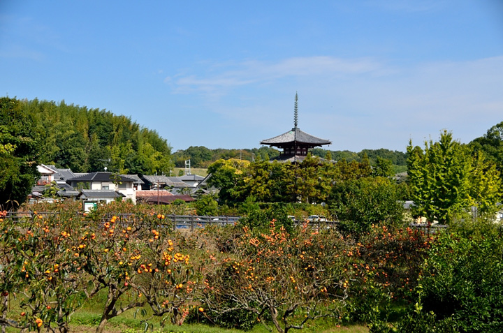f0108478_18513748.jpg