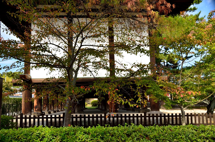 f0108478_1911085.jpg