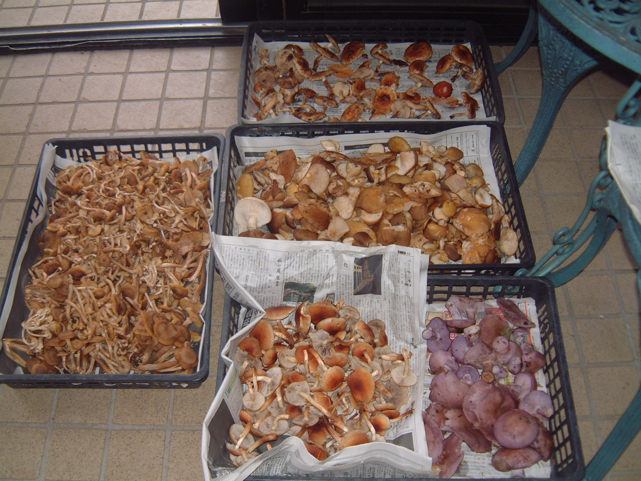 c0237780_15403636.jpg