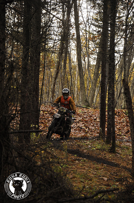 f0210380_12301573.jpg