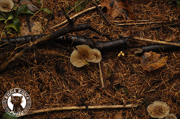f0210380_1230586.jpg